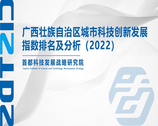 美女骚逼被爆操视频【成果发布】广西壮族自治区城市科技创新发展指数排名及分析（2022）